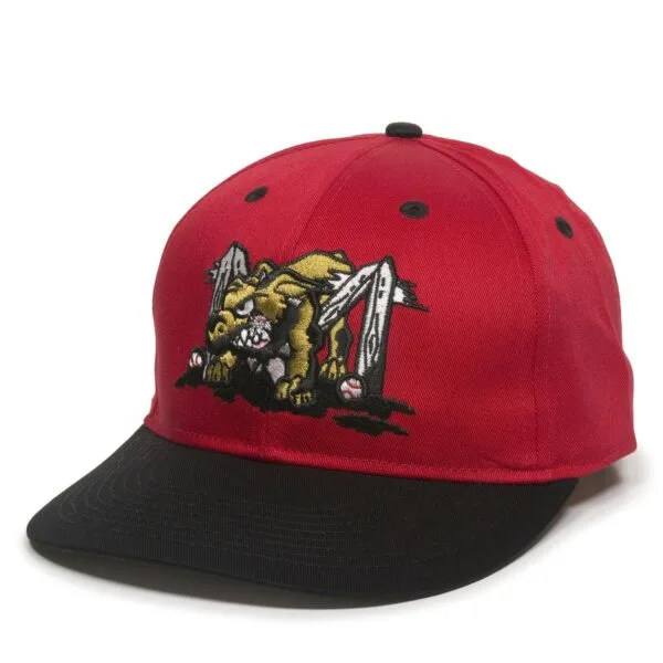 Outdoor Cap Minor League Replica Baseball Cap:  Youth MIN-253 - Image 12